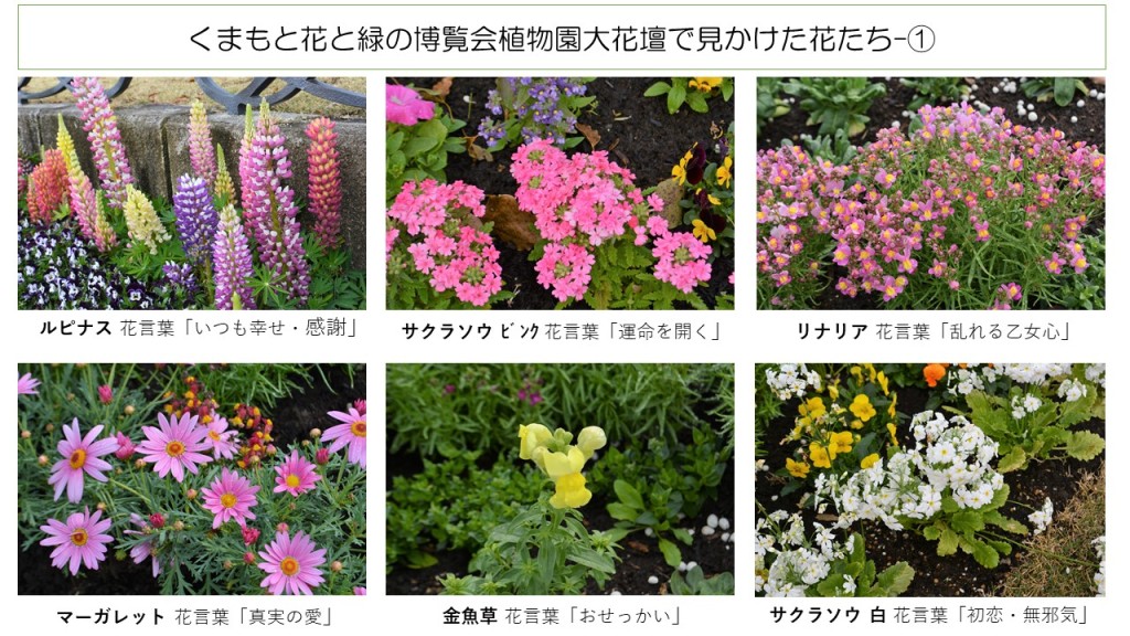◇植物園大花壇の花たち ①